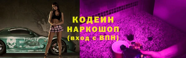твердый Богданович