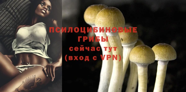 прущая мука Богородицк