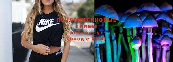 твердый Богданович