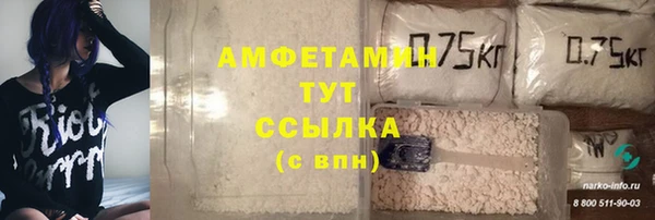 МДПВ Богородск