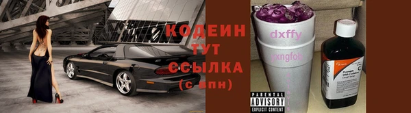 твердый Богданович