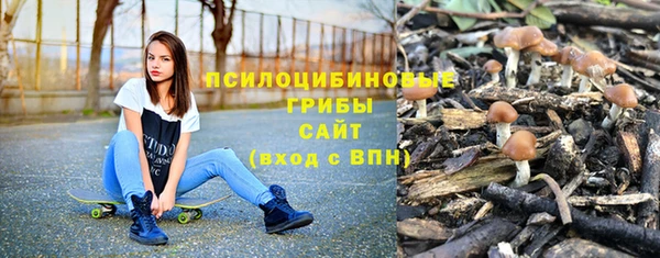 прущая мука Богородицк