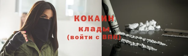 прущая мука Богородицк