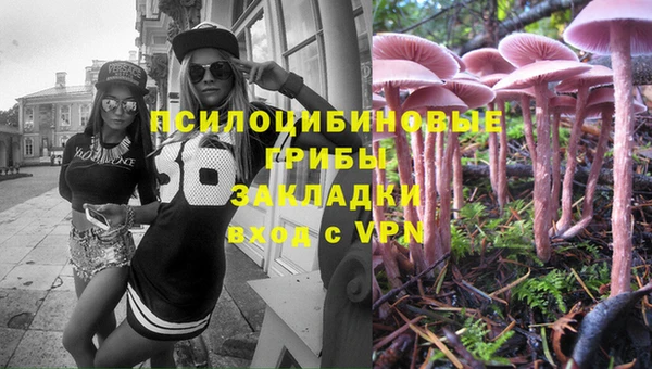 марки nbome Пересвет