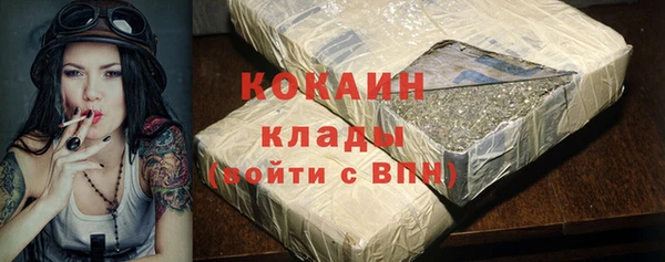 твердый Богданович