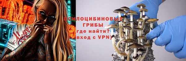 МДПВ Богородск