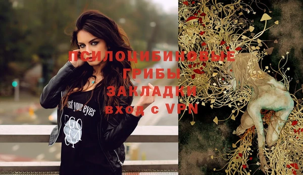 прущая мука Богородицк