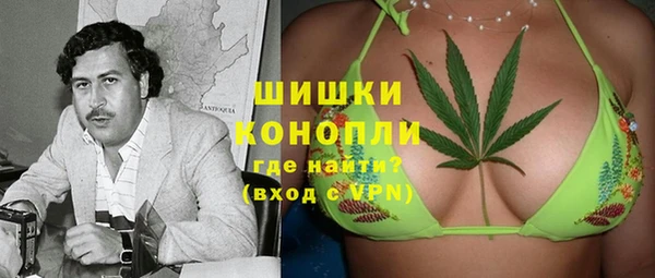 МДПВ Богородск