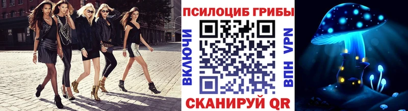 MEGA ССЫЛКА  Константиновск  Галлюциногенные грибы Psilocybe 